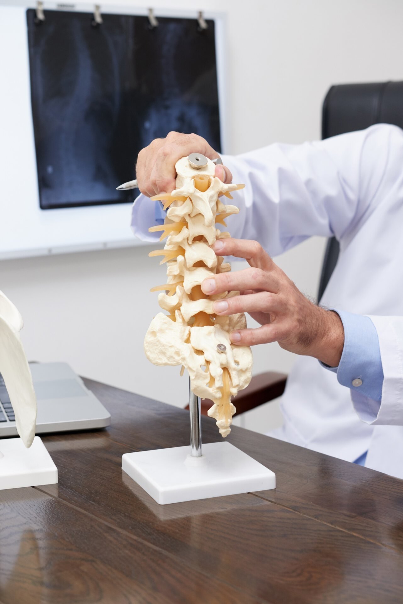 spine model 2021 08 29 04 28 09 utc Traumatologo Ortopedista en Tijuana https://drcisnerosortopedia.com